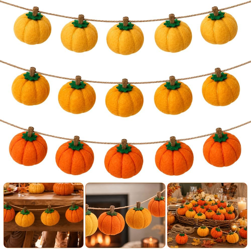 Mini Filz Kürbis Deko Set für Herbst Dekorationen - 15 Stück, 5 m Girlande