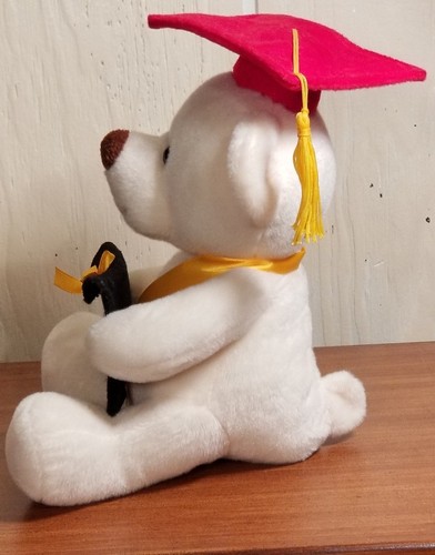 Graduation Gift Plush Bear With Gift Card Holder 