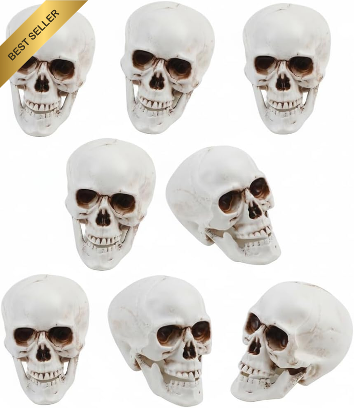 8PCS Realistic Skull Heads – 2X2.4X3 Halloween Decor