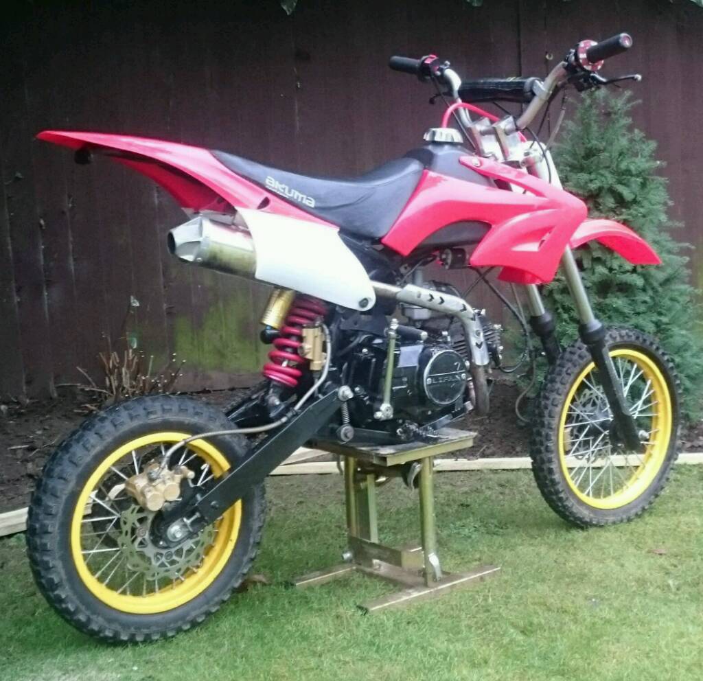 assassin 110cc pit bike