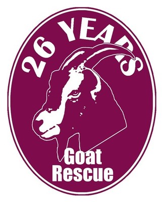 Buttercups Sanctuary for goats