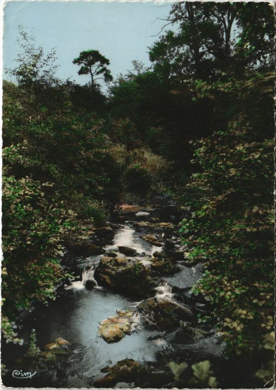 Cpm St-Benoit-Du-Sault Les Rendes (926657)