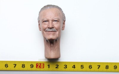 Head Sculpt Figure Hottoys 1/6 Stan Lee&reg Accessories HT MMS570 Thor: Ragnarok