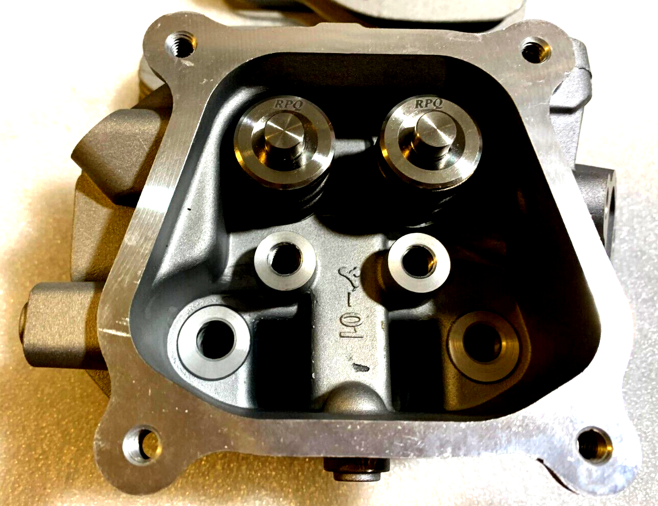 willinckii cv predator pup ② $_57.PNG?set_id=880000500F
