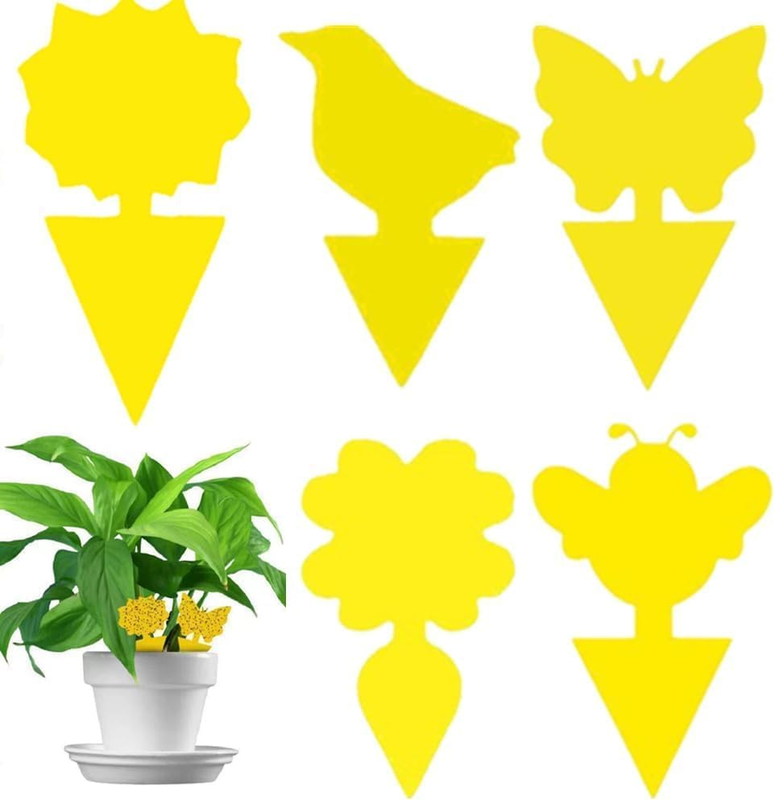 Sticky Fly Traps,Plant Fly Stickers, 100Pcs Flying Insects Traps,Sticky Bug Trap