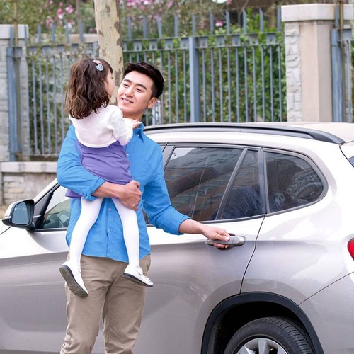 Button to view family cars