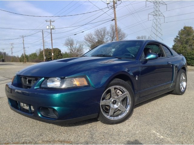 Ford mustang cobra terminator for sale #8