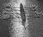the_coxswain