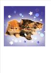 starmoggy