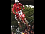 saverio82