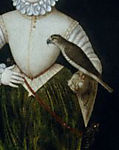 hawquesgallery