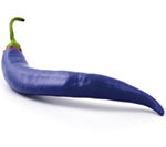 bluechille
