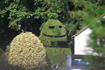 freddiemuppet
