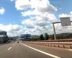 struppi_ohne_tim