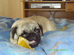 carlin76leslieanne