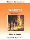 Wildfires: A Skills Review and Writing Text by Nigel A. Caplan (Paperback, 2008)