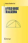 A Field Guide to Algebra by Antoine Chambert-Loir (Paperback, 2010)