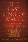 The Last King of Wales: Gruffudd ap Llywelyn c. 1013-1063 by Michael Davies, Sean Davies (Paperback, 2012)