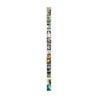 Wall of Frames 6-FOOT hanging photo display strip for vertical prints - 4x6