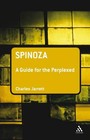 Spinoza: A Guide for the Perplexed by Charles Jarrett (Hardback, 2007)