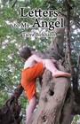 Letters to My Angel: Happy Children in a Sensory World by Talya Birkhan (Hardback, 2011)