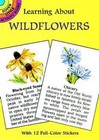 Learning About Wildflowers by Dot Barlowe (Paperback, 1998)