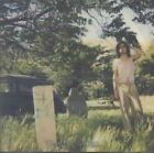 Ariel Pink's Haunted Graffiti - Doldrums (2010)