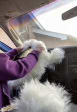 3pcs Car Steering Wheel Cover Furry Fluffy Universal Fur Wool Thick 15