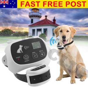 wireless boundary collars for dogs