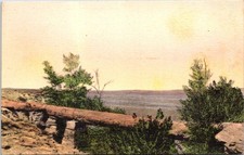 Natural Bridge, PETRIFIED FOREST NATIONAL PARK, Arizona Postcard - Albertype