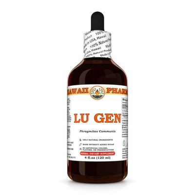 Lu Gen / Reed (Phragmites Communis) Dried Root Liquid Herbal Extract