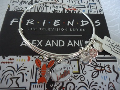 Alex And Ani Friends You Re My Lobster Charm Bracelet Shiny Silver Z39 For Sale Online Ebay