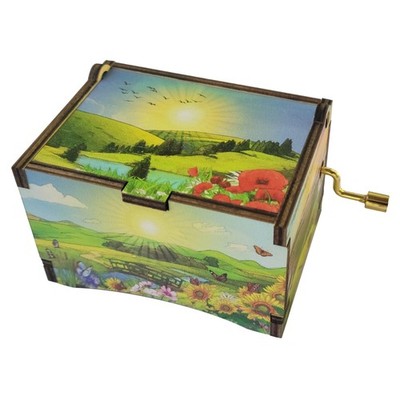 Sunshine Music Box with song ''You Are My Sunshine''