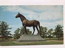 1960 Man O’War Statue Lexington Kentucky Postcard