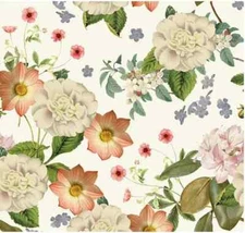 Riley Blake Springtime by My Mind's Eye CD12810 Cream