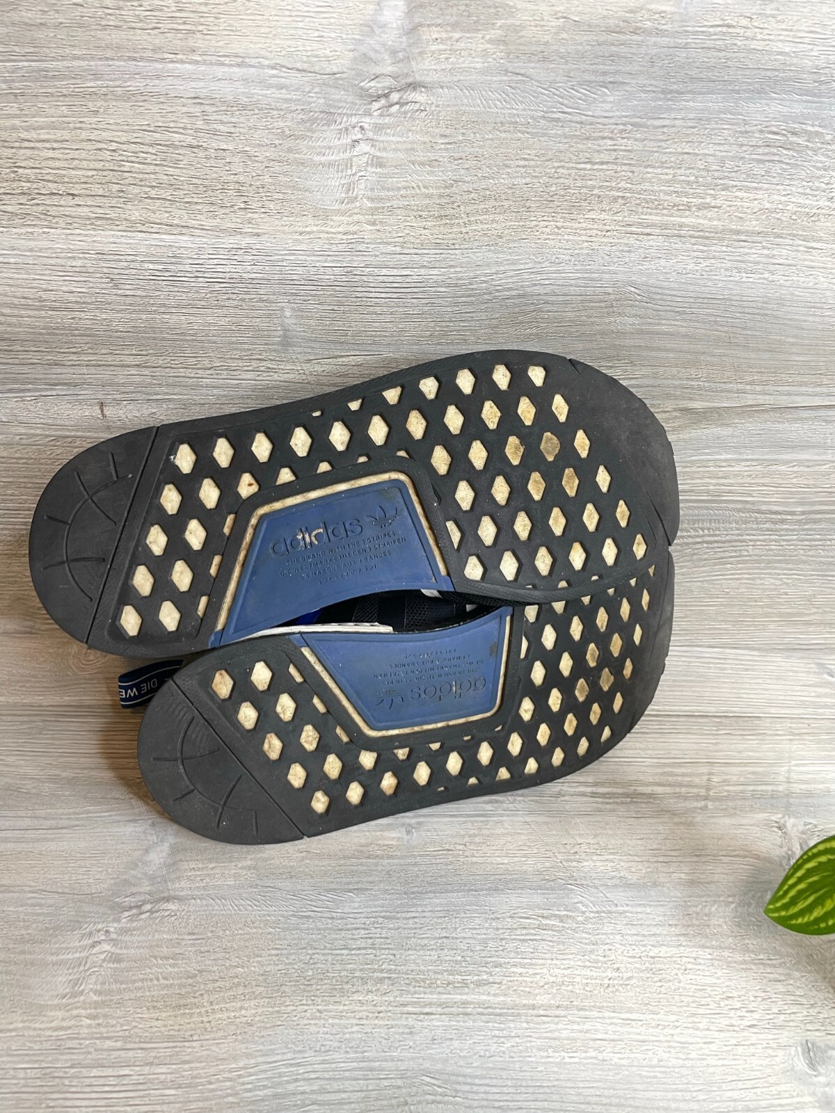 Fv5215 Adidas Transmission Pack Nmd Adidas Adidas NMD R1