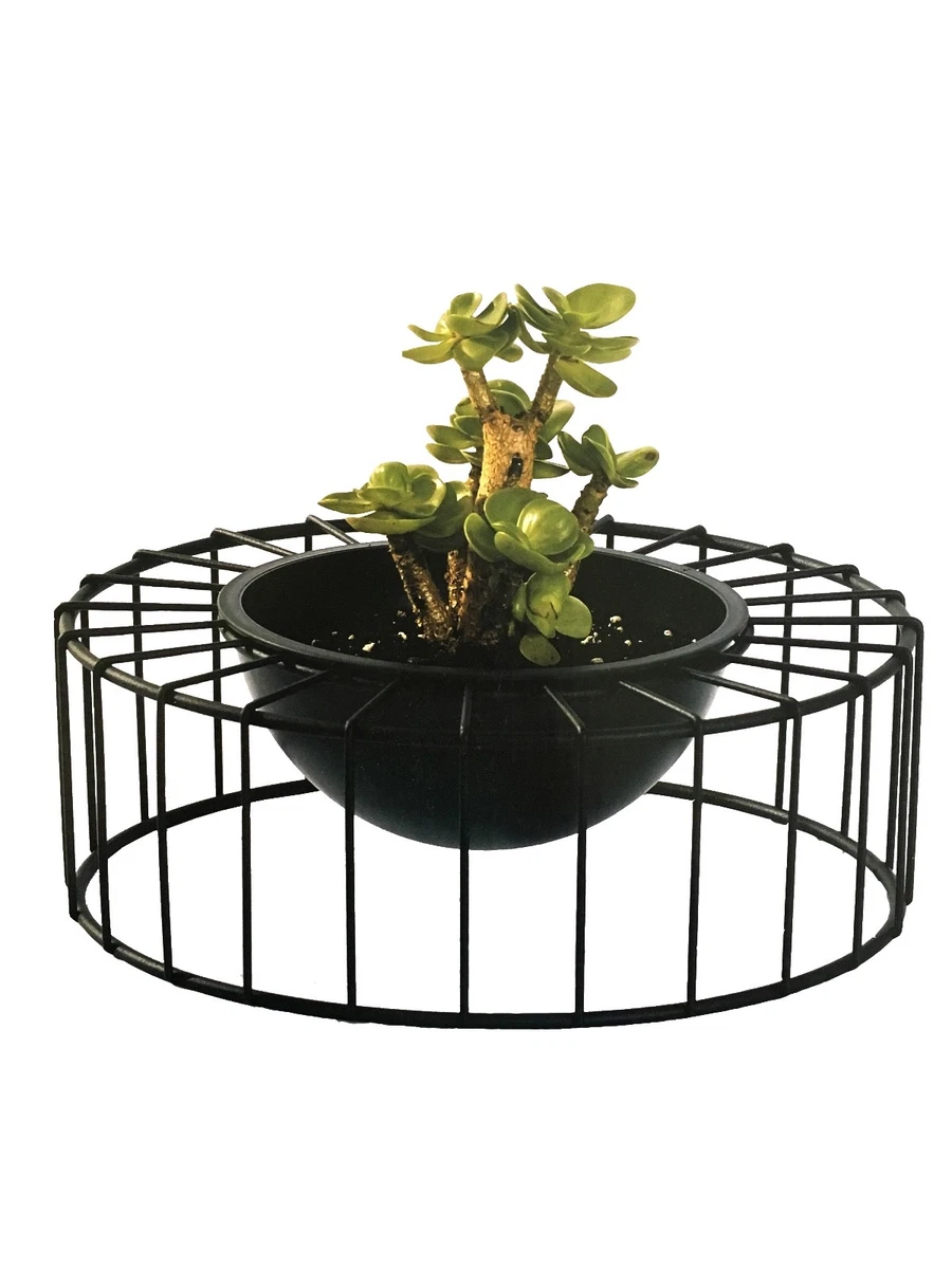 Bitte hinschauen Vorsitzende Bewertung blumentopf flach rund widerlich
