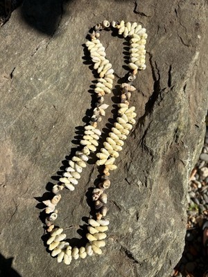 Vintage Style Hawaiian Light Beige Small Clam  Sea Shell Bead Lei Necklace