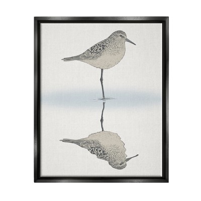 Soothing Sandpiper Bird Standing Ocean Shoreline Reflection Floating Framed W...