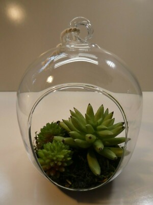 Faux Succulent Arrangement Hanging Glass Terrarium Knotted Rope Home Decor  New | eBay