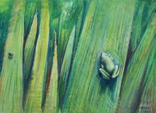 Green Tree Frog