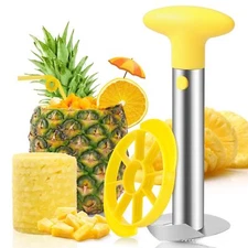 Stainless Steel Handheld Pineapple Corer and Slicer Tool for Home Kitchen