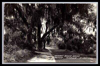 Post Card - INDIAN RIVER DRIVE - COCOM, FLORIDA