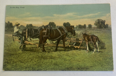 Vintage Postcard c1910 ~ In the Hay Field, Agriculture, Early Farm Equipment