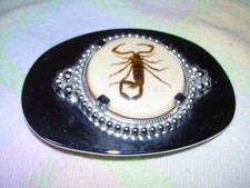 Vintage Silver Tone Belt Buckle Real Scorpion Ranch Wear Southwest Cowboy