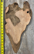 Salvaged Live Edge Tan Oak Wood Slab