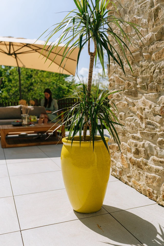 Blumentopf für Draußen Pflanzkübel Keramik frostfest für Garten Gelb Bacchus - Bild 3 von 4