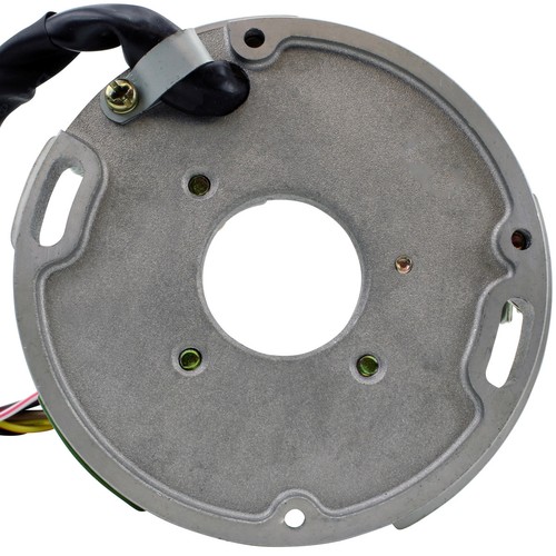 Stator For Arctic Cat Jag 340 440 Super Jag 440 1985-1998 OEM# 3003-533 3004-829 - Picture 8 of 9