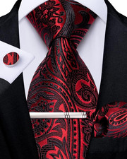Paisley Ties for Men Silk Necktie and Pocket Square Cufflinks Tie Clip