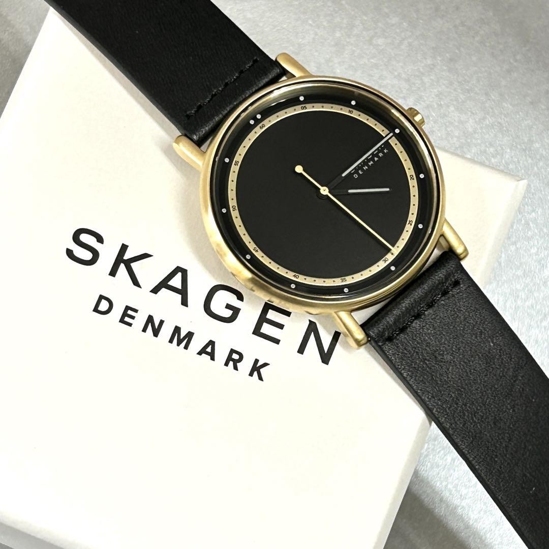 【新品/SIGNATUR】SKAGEN SKW6897 Skagen Signatur SKW6897 Watch 40mm Leather Strap with for
